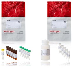 Invitrogen EnzChek 3C-like Protease (3CLpro) Papain-like Protease (PLpro) Assay Kits 5 x 100 Assays | Buy Online | Invitrogen&trade; | Fisher Scientific